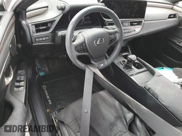 2024 Lexus ES 300h with VIN 58ABA1C14RU040544, listed as a Copart auction lot 74348394 with Not provided miles and Non repairable. Bid and sale history available at DreamBid. Image 8.