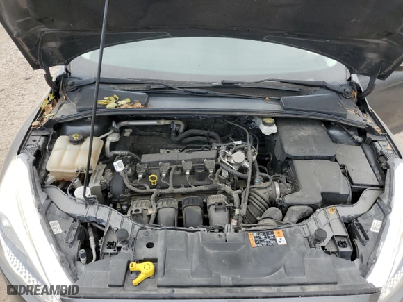 2017 Ford Focus SE with VIN 1FADP3F29HL341971, listed as a Copart auction lot 51045165 with 117,815 mi miles and Salvage Title. Bid and sale history available at carsss.com. Image 11.