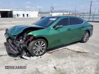 2019 Lexus ES 350 with VIN JTHBZ1B1XK2004024, listed as a Copart auction lot 54936165 with 66,335 mi miles and Salvage Title. Bid and sale history available at DreamBid. Image 1.