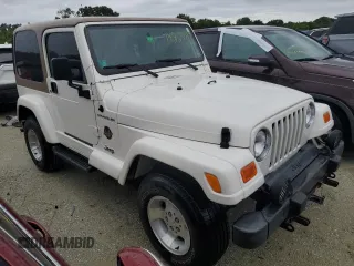 2002 Jeep Wrangler Sahara with VIN 1J4FA59S02P727359, listed as a Copart auction lot 74823414 with 84,186 mi miles and Salvage Title. Bid and sale history available at carsss.com. Image 4.