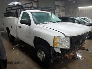 2009 Chevrolet Silverado 1500 with VIN 1GBHC44KX9F170295, listed as a Copart auction lot 45369965 with 166,640 mi miles and Salvage Title. Bid and sale history available at DreamBid. Image 4.