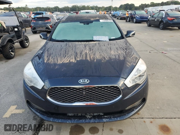 2015 Kia K900 Luxury with VIN KNALW4D43F6022254, listed as a Copart auction lot 73966104 with 52,161 mi miles and Salvage Title. Bid and sale history available at carsss.com. Image 5.