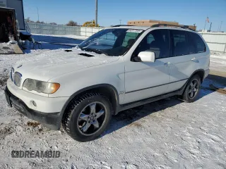 2002 BMW X5 4.4i with VIN 5UXFB335X2LH35651, listed as a Copart auction lot 44817345 with 133,972 mi miles and Salvage Title. Bid and sale history available at carsss.com. Image 1.