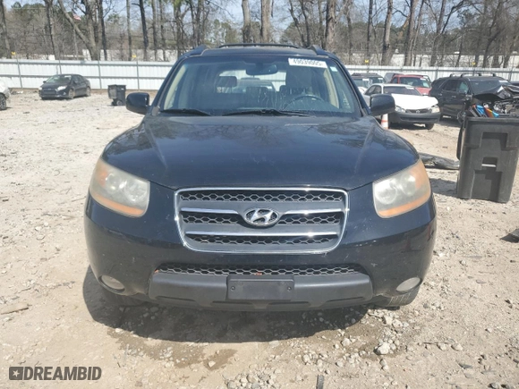 2009 Hyundai Santa Fe SE with VIN 5NMSH13E69H301612, listed as a Copart auction lot 49039005 with 214,882 mi miles and Salvage Title. Bid and sale history available at carsss.com. Image 5.