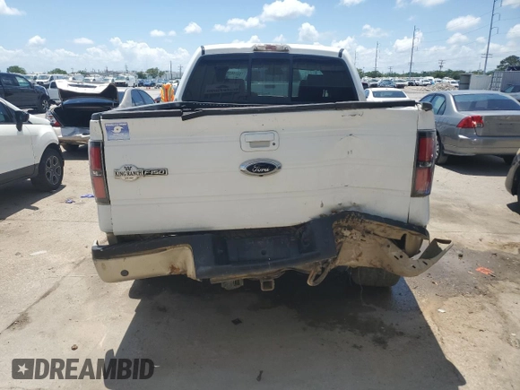 2009 Ford F-150 XL with VIN 1FTPW14VX9KA17124, listed as a Copart auction lot 55144375 with 257,748 mi miles and Salvage title. Bid and sale history available at DreamBid. Image 6.