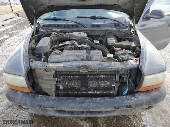 2003 Dodge Dakota Sport with VIN 1D7HG38X43S158180, listed as a Copart auction lot 47487905 with 348,695 mi miles and Clean Title. Bid and sale history available at carsss.com. Image 11.