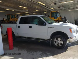 2010 Ford F-150 XL с VIN 1FTEW1E83AFC09949, выставлен на аукционе IAAI как лот 41540611 с пробегом Не указан миль и . История ставок и продаж доступна на DreamBid. Изображение 13.