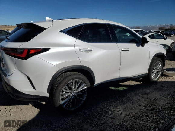 2025 Lexus NX 350 Luxury with VIN 2T2HGCEZ8SC060264, listed as a Copart auction lot 81298244 with 6,758 mi miles and Salvage title. Bid and sale history available at DreamBid. Image 3.