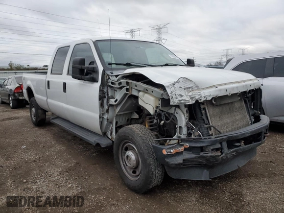 2010 Ford Super Duty F-250 SRW XL with VIN 1FTSW2B58AEB00797, listed as a Copart auction lot 79393854 with 320,987 mi miles and Salvage Title. Bid and sale history available at carsss.com. Image 4.