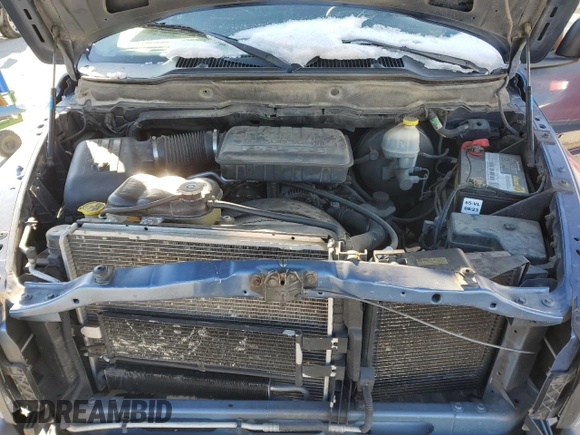 2002 Dodge 1500 with VIN 1D7HA16K72J233214, listed as a Copart auction lot 43047515 with 244,458 mi miles and Salvage Title. Bid and sale history available at DreamBid. Image 11.