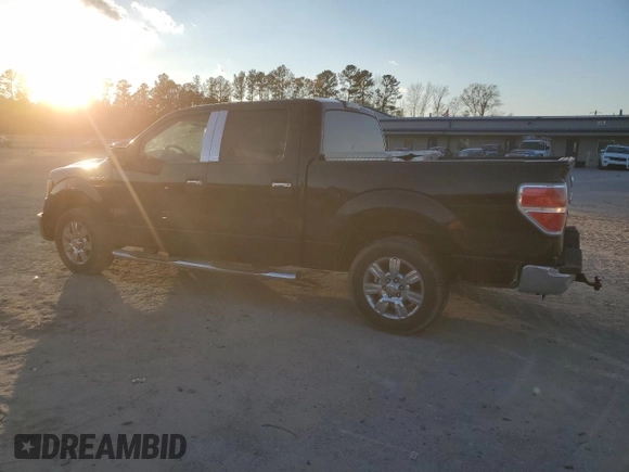 2009 Ford F-150 XL with VIN 1FTRW12869FA73172, listed as a Copart auction lot 41407375 with 215,230 mi miles and Salvage Title. Bid and sale history available at carsss.com. Image 2.