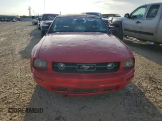 2009 Ford Mustang with VIN 1ZVHT84N295135184, listed as a Copart auction lot 53210055 with Not provided miles and Clean title. Bid and sale history available at DreamBid. Image 5.