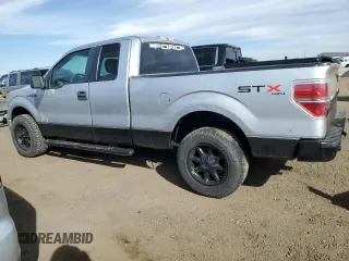 2010 Ford F-150 XL with VIN 1FTEX1EW1AFA91959, listed as a Copart auction lot 48774095 with 308,100 mi miles and Salvage Title. Bid and sale history available at carsss.com. Image 2.