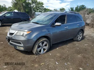 2010 Acura MDX Technology with VIN 2HNYD2H44AH524513, listed as a Copart auction lot 49031465 with Not Provided miles and Non Repairable. Bid and sale history available at DreamBid. Image 1.