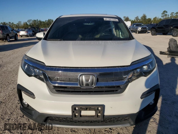 2019 Honda Pilot EX-L with VIN 5FNYF5H40KB019724, listed as a Copart auction lot 81987244 with 117,406 mi miles and Salvage title. Bid and sale history available at DreamBid. Image 5.