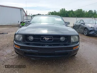 2006 Ford Mustang Standard with VIN 1ZVFT80N965157675, listed as a IAAI auction lot 42472331 with 153,220 mi miles and . Bid and sale history available at DreamBid. Image 6.