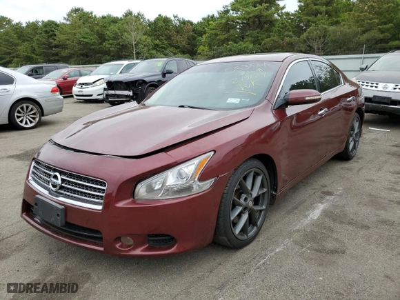 2010 Nissan Maxima 3.5 SV w/Premium Pkg with VIN 1N4AA5AP0AC819624, listed as a Copart auction lot 41728375 with 162,774 mi miles and Non Repairable. Bid and sale history available at carsss.com. Image 2.