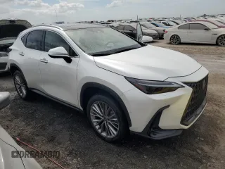 2022 Lexus NX with VIN JTJHKCEZ1N5002627, listed as a Copart auction lot 74983514 with 19,228 mi miles and Non Repairable. Bid and sale history available at carsss.com. Image 4.