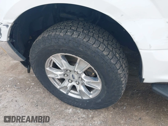 2015 Ford F-150 XLT with VIN 1FTFX1EFXFFC18381, listed as a IAAI auction lot 41886719 with 162,644 mi miles and . Bid and sale history available at DreamBid. Image 12.