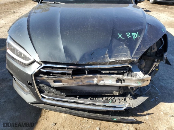 2019 Audi A5 Sportback Premium with VIN WAUANCF5XKA063448, listed as a Copart auction lot 79645484 with NaN miles and Salvage Title. Bid and sale history available at carsss.com. Image 11.