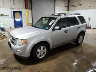 2010 Ford Escape XLT with VIN 1FMCU9DG0AKC81571, listed as a Copart auction lot 51090215 with 132,776 mi miles and Salvage Title. Bid and sale history available at carsss.com. Image 1.