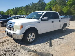 2010 Ford F-150 XL with VIN 1FTEW1C89AKE20633, listed as a Copart auction lot 52115755 with 225,443 mi miles and Salvage Title. Bid and sale history available at carsss.com. Image 1.