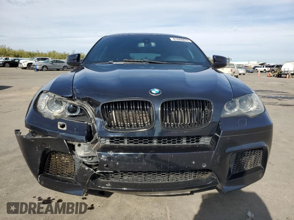 2010 BMW X6 M with VIN 5YMGZ0C50ALK13565, listed as a Copart auction lot 81646874 with 125,113 mi miles and Salvage Title. Bid and sale history available at carsss.com. Image 5.