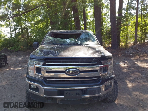 2018 Ford F-150 XL with VIN 1FTFW1EG2JFB91486, listed as a IAAI auction lot 42302383 with 66,043 mi miles and . Bid and sale history available at DreamBid. Image 6.
