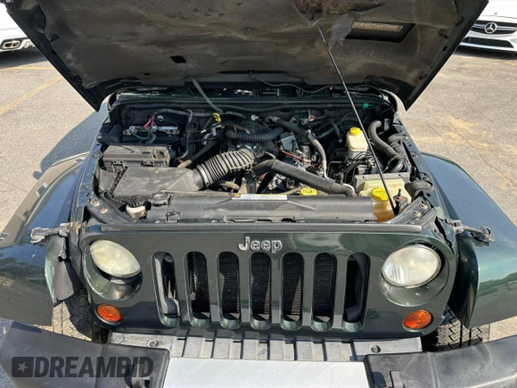 2010 Jeep Wrangler Sahara with VIN 1J4AA5D18AL222491, listed as a Copart auction lot 60045815 with 173,280 mi miles and Clean title. Bid and sale history available at DreamBid. Image 9.