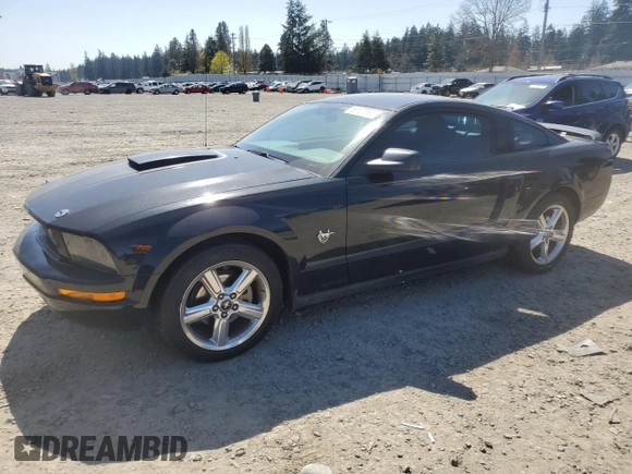 2009 Ford Mustang with VIN 1ZVHT80N295107200, listed as a Copart auction lot 53107595 with 102,704 mi miles and Salvage Title. Bid and sale history available at carsss.com. Image 1.