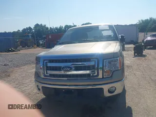 2013 Ford F-150 XL with VIN 1FTEX1CMXDFC62133, listed as a IAAI auction lot 42567537 with 132,668 mi miles and . Bid and sale history available at DreamBid. Image 12.