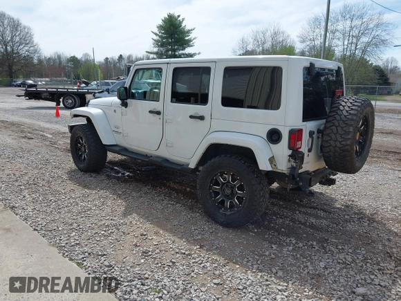 2017 Jeep Wrangler Unlimited Sahara with VIN 1C4BJWEG8HL734572, listed as a IAAI auction lot 41863636 with 123,979 mi miles. Bid and sale history available at carsss.com. Image 3.