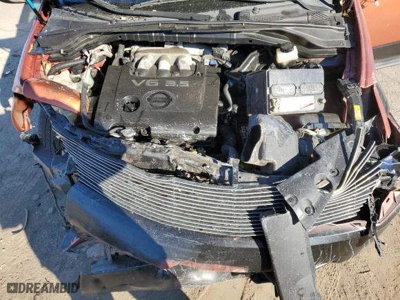 2003 Nissan Murano SE with VIN JN8AZ08W93W217183, listed as a Copart auction lot 77698384 with 0 mi miles and Salvage Title. Bid and sale history available at carsss.com. Image 12.