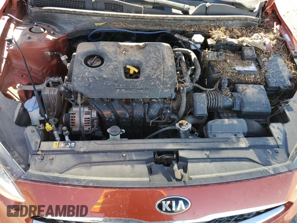 2019 Kia Forte EX with VIN 3KPF54AD3KE070316, listed as a Copart auction lot 77591304 with 0 mi miles and Salvage Title. Bid and sale history available at carsss.com. Image 12.