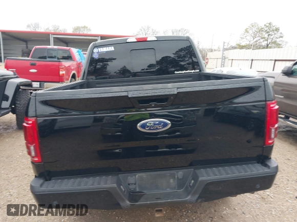 2017 Ford F-150 XL with VIN 1FTEW1EF6HKC21996, listed as a IAAI auction lot 41612799 with 167,920 mi miles. Bid and sale history available at carsss.com. Image 16.