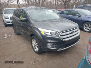 2019 Ford Escape SE z VIN 1FMCU0GD0KUB32385, wystawiony jako IAAI lot #41521809 z przebiegiem 127 677 mil mil oraz . Historia ofert i sprzedaży dostępna na DreamBid. Obrazek 1.