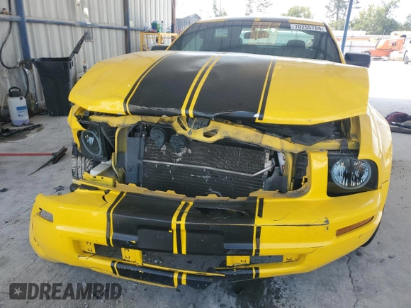 2006 Ford Mustang Standard with VIN 1ZVFT80N365119181, listed as a Copart auction lot 70255784 with 217,521 mi miles and Non Repairable. Bid and sale history available at carsss.com. Image 5.
