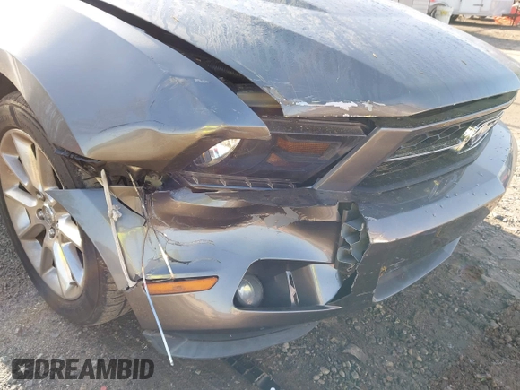 2010 Ford Mustang V6 с VIN 1ZVBP8AN6A5157773, выставлен на аукционе IAAI как лот 41921156 с пробегом 118 549 миль миль и . История ставок и продаж доступна на DreamBid. Изображение 15.