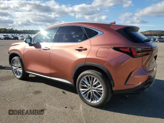 2025 Lexus NX with VIN 2T2GGCEZ7SC066651, listed as a Copart auction lot 73207444 with 1,764 mi miles and Salvage Title. Bid and sale history available at carsss.com. Image 2.