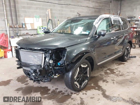 2024 Kia Telluride S with VIN 5XYP6DGC9RG481460, listed as a IAAI auction lot 42309411 with 14,182 mi miles and . Bid and sale history available at DreamBid. Image 17.
