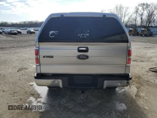 2009 Ford F-150 XL with VIN 1FTRW14819FB41374, listed as a Copart auction lot 50144435 with 110,685 mi miles and Non Repairable. Bid and sale history available at carsss.com. Image 6.