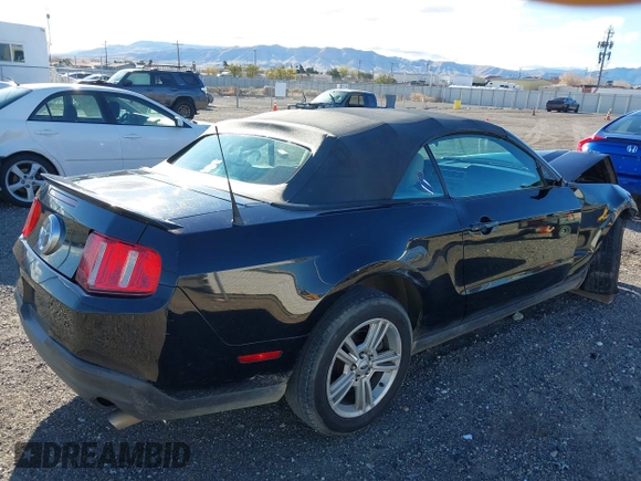 2010 Ford Mustang V6 with VIN 1ZVBP8ENXA5179074, listed as a IAAI auction lot 41826328 with 176,498 mi miles and . Bid and sale history available at carsss.com. Image 4.