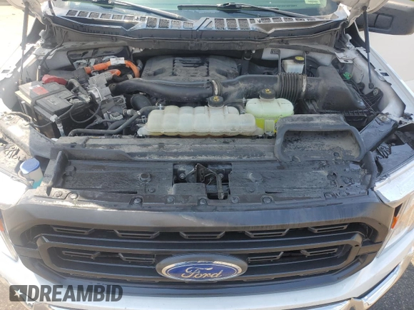 2022 Ford F-150 XL with VIN 1FTFW1ED6NFA64624, listed as a Copart auction lot 61998585 with 159,091 mi miles and Clean title. Bid and sale history available at DreamBid. Image 11.