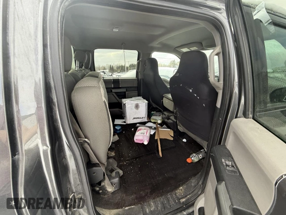 2016 Ford F-150 XLT with VIN 1FTFW1EFXGFA74075, listed as a Copart auction lot 46610525 with Not Provided miles and Salvage Title. Bid and sale history available at carsss.com. Image 10.