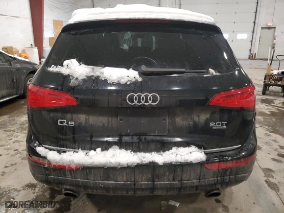 2017 Audi Q5 Premium with VIN WA1C2AFP3HA095638, listed as a Copart auction lot 43733015 with 116,666 mi miles and Salvage Title. Bid and sale history available at carsss.com. Image 6.