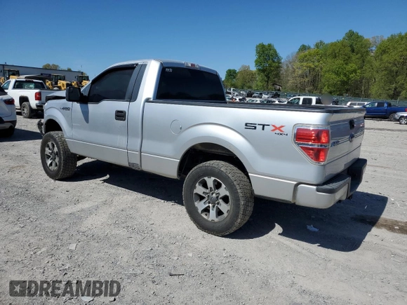 2013 Ford F-150 XL with VIN 1FTMF1EF3DFB72688, listed as a Copart auction lot 52922865 with 196,457 mi miles and Salvage Title. Bid and sale history available at DreamBid. Image 2.