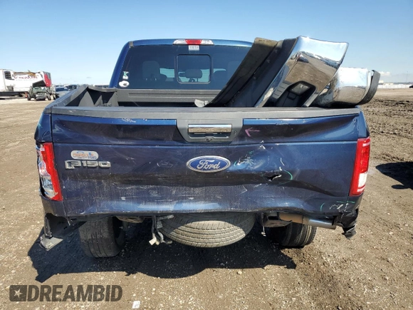 2017 Ford F-150 XL with VIN 1FTEW1C80HKD49171, listed as a Copart auction lot 46488475 with 172,675 mi miles and Salvage Title. Bid and sale history available at carsss.com. Image 6.