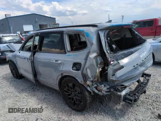 2022 Kia Telluride SX with VIN 5XYP5DHC5NG223447, listed as a Copart auction lot 62501315 with Not provided miles and Salvage title. Bid and sale history available at DreamBid. Image 2.