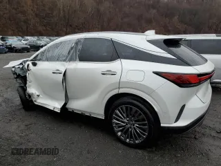 2024 Lexus RX with VIN JTJCJMGA9R2015210, listed as a Copart auction lot 49382125 with Not Provided miles and Salvage Title. Bid and sale history available at carsss.com. Image 2.