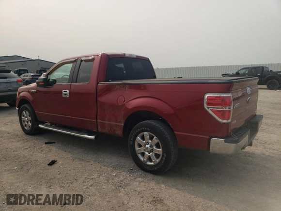 2013 Ford F-150 XL with VIN 1FTFX1CF6DFB51214, listed as a Copart auction lot 59024575 with 82,024 mi miles and Salvage title. Bid and sale history available at DreamBid. Image 2.